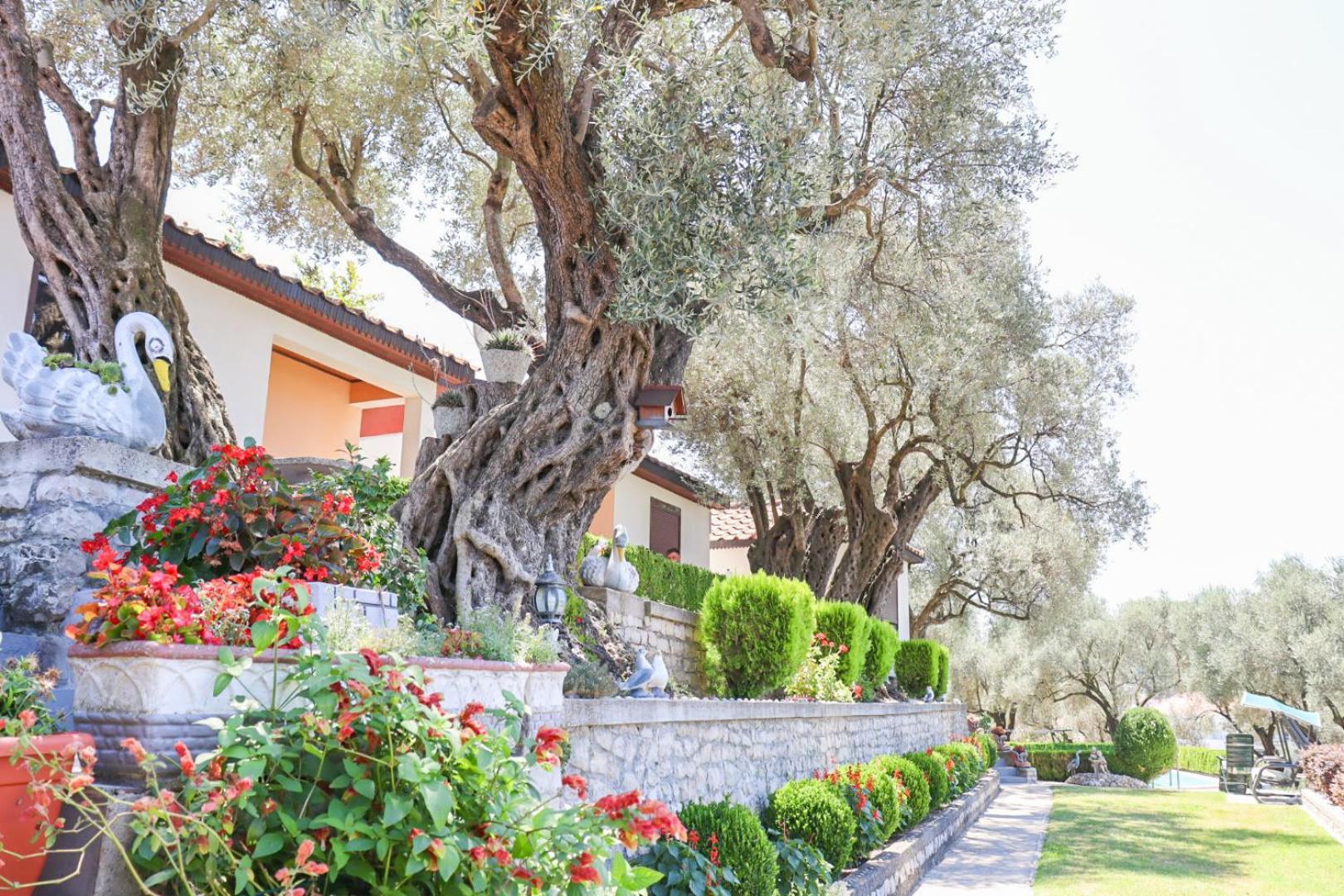 Hilja's Oliven Garden Bungalows Ulcinj Exteriör bild