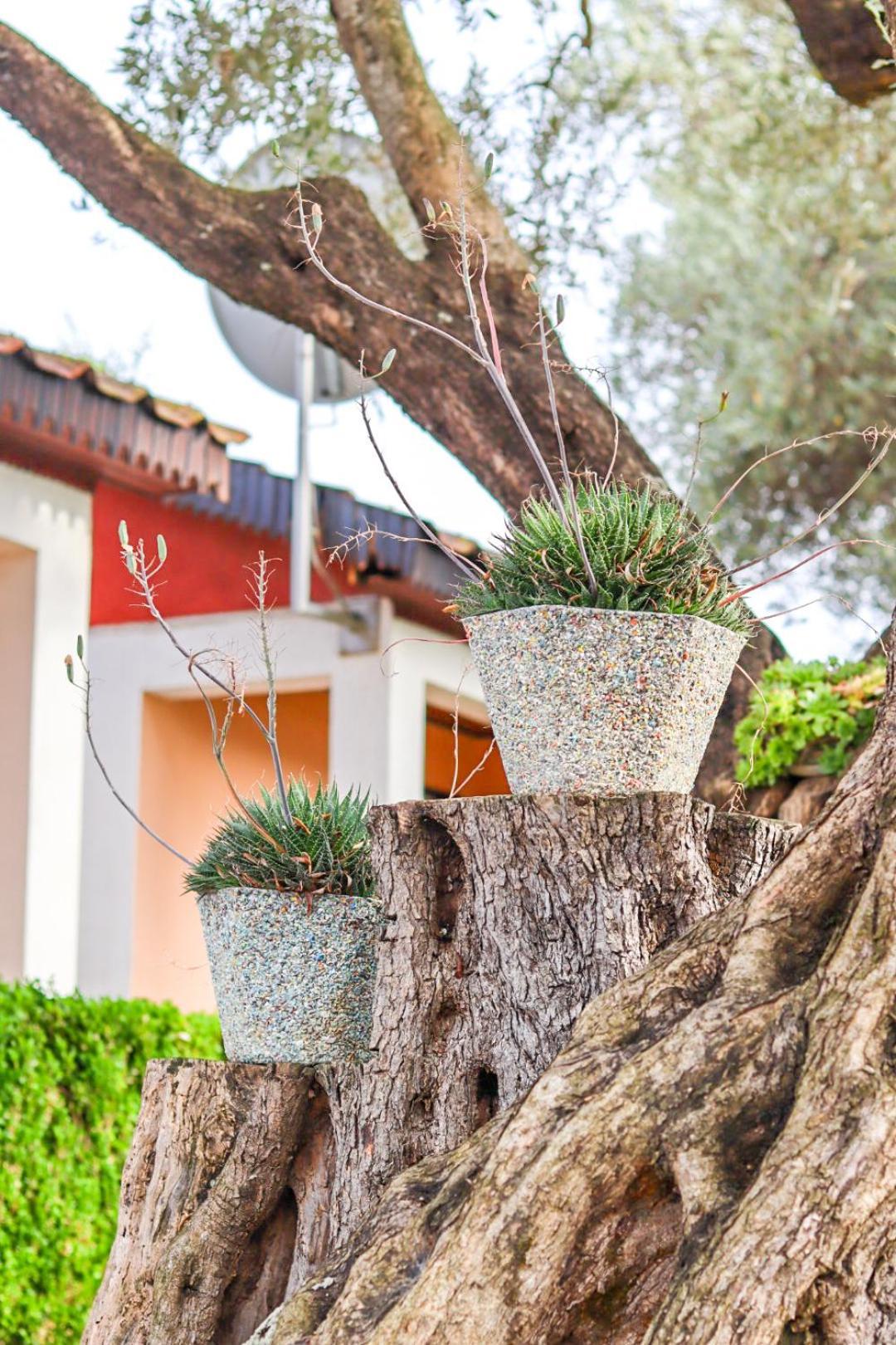 Hilja's Oliven Garden Bungalows Ulcinj Exteriör bild