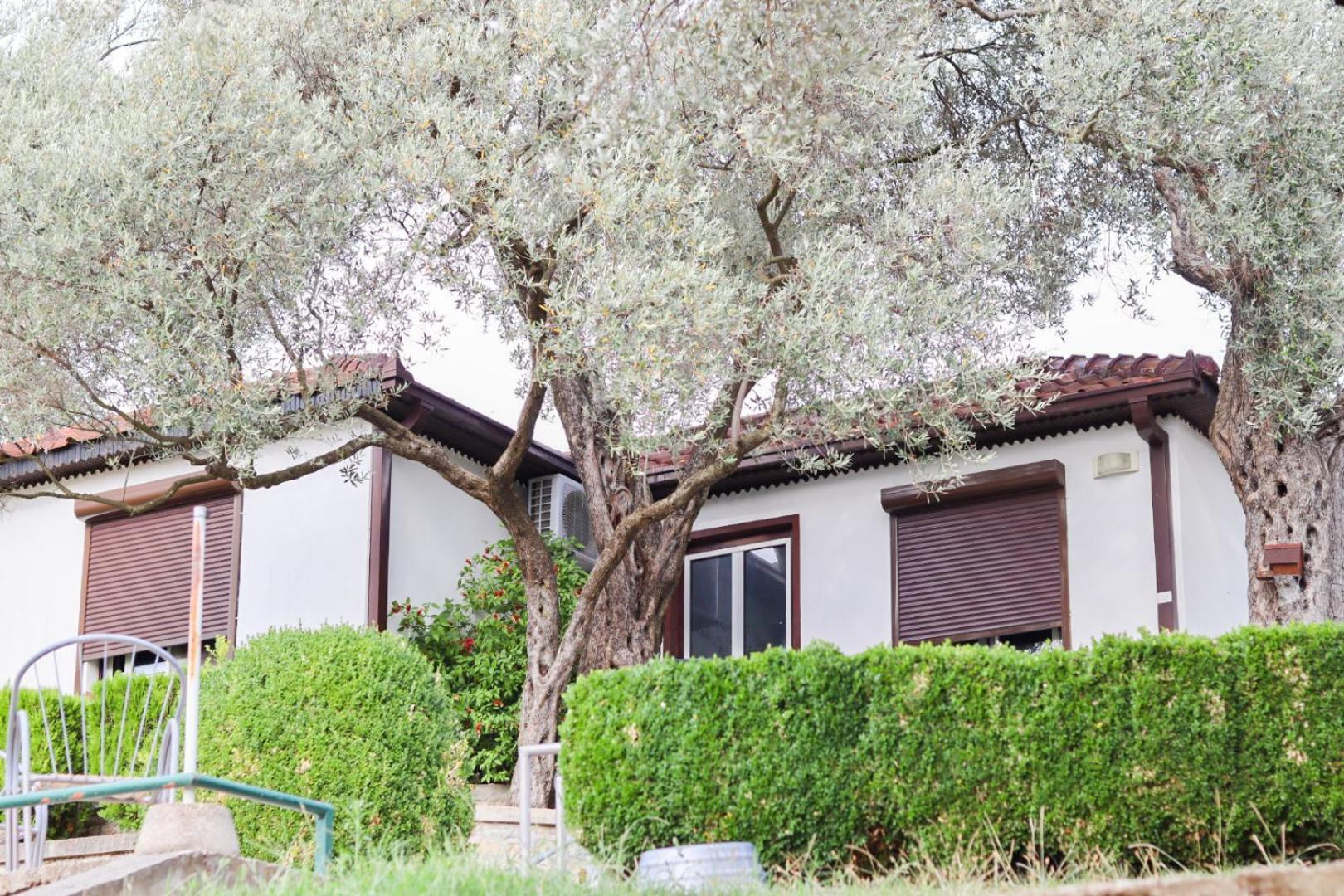 Hilja's Oliven Garden Bungalows Ulcinj Exteriör bild