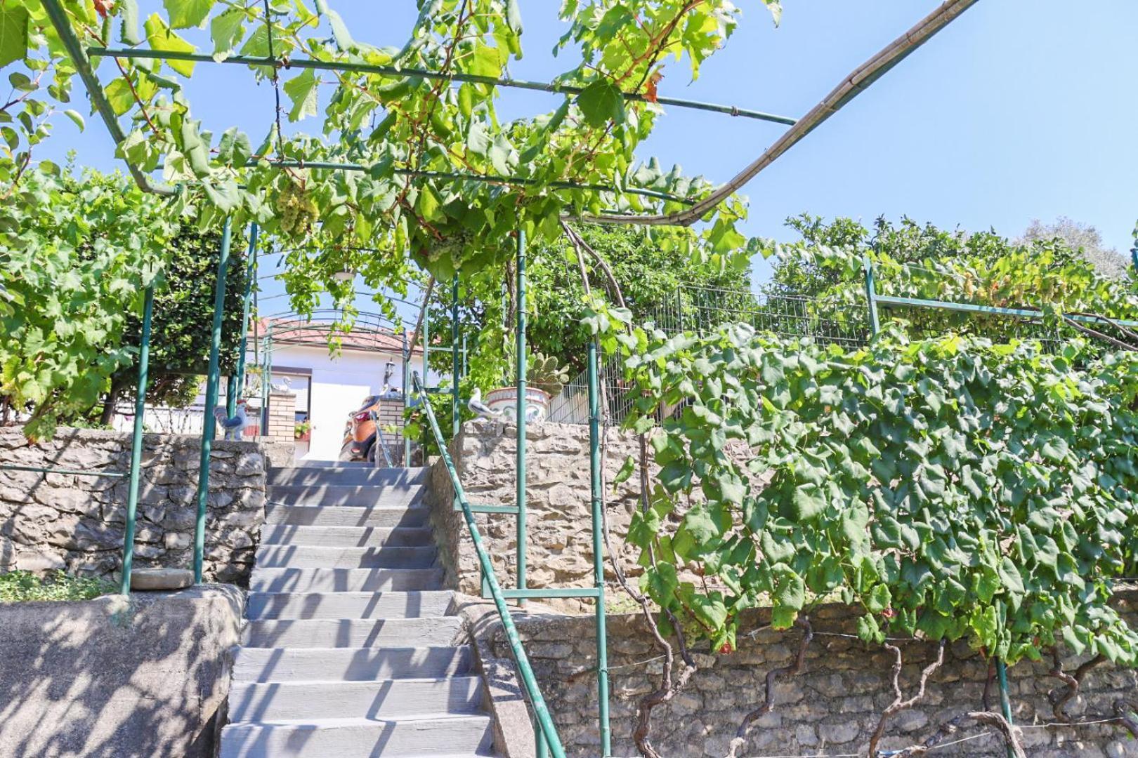 Hilja's Oliven Garden Bungalows Ulcinj Exteriör bild